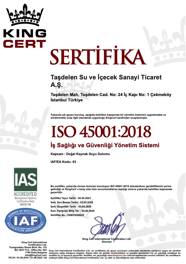 İş Sağlığı ve Güvenliği Yönetim Sistemi